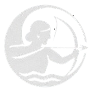 Artemis Logo